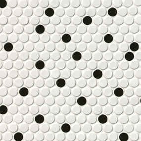 White and Black Penny Mosaic